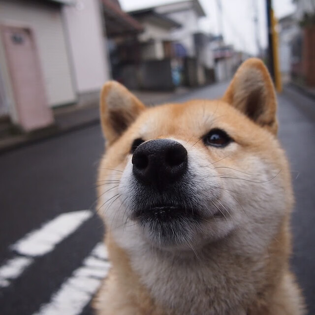 体育新闻中心发布运动员心理健康监测系统，运动员 心理
