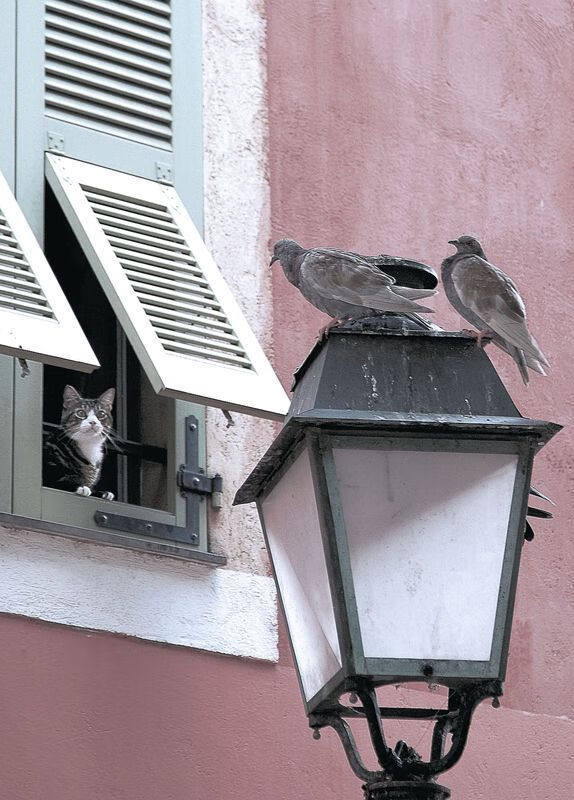 搏击教学视频走进监狱推广正能量体育理念，关于监狱搏击的电影