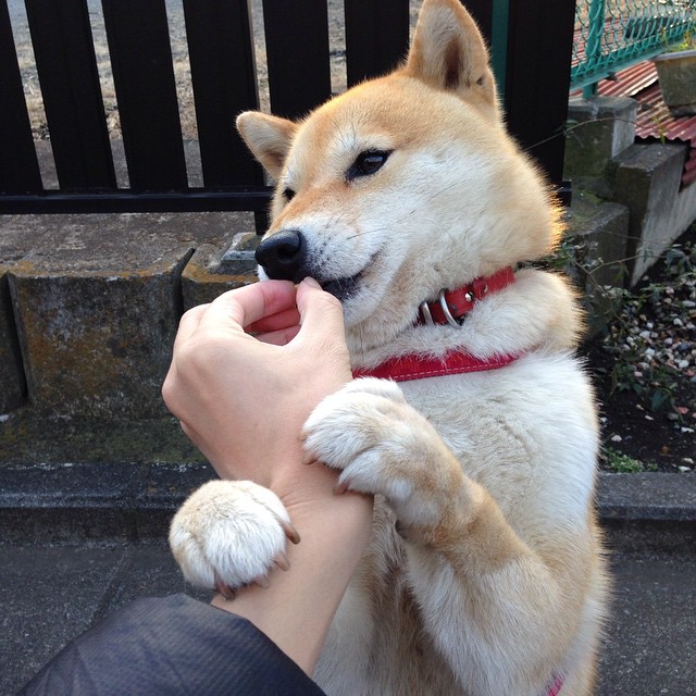 开云网站-世界杯热身赛中的战术创新探索，世界杯篮球热身赛